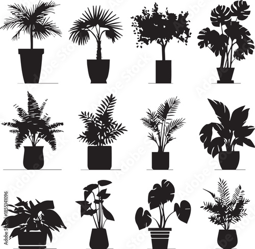 Black silhouette potted tropical houseplants collection isolated on white background