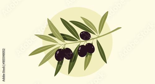 Green olive branch bearing several ripe dark purple olives is shown against a soft yellow circle in this clean illustration.