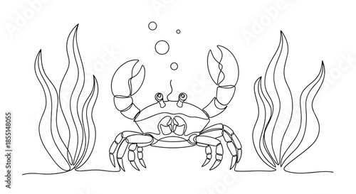 Crab moves through the underwater seaweed with bubbles rising above in a clean and minimal continuous line drawing illustration.