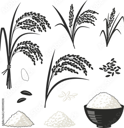Rice plant stalks, paddy grains, and bowl of cooked white rice vector icons set isolated on white background.