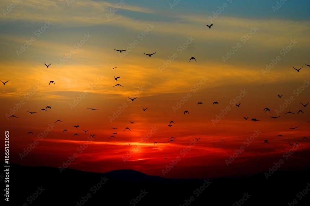 Obraz premium sunset over the sea