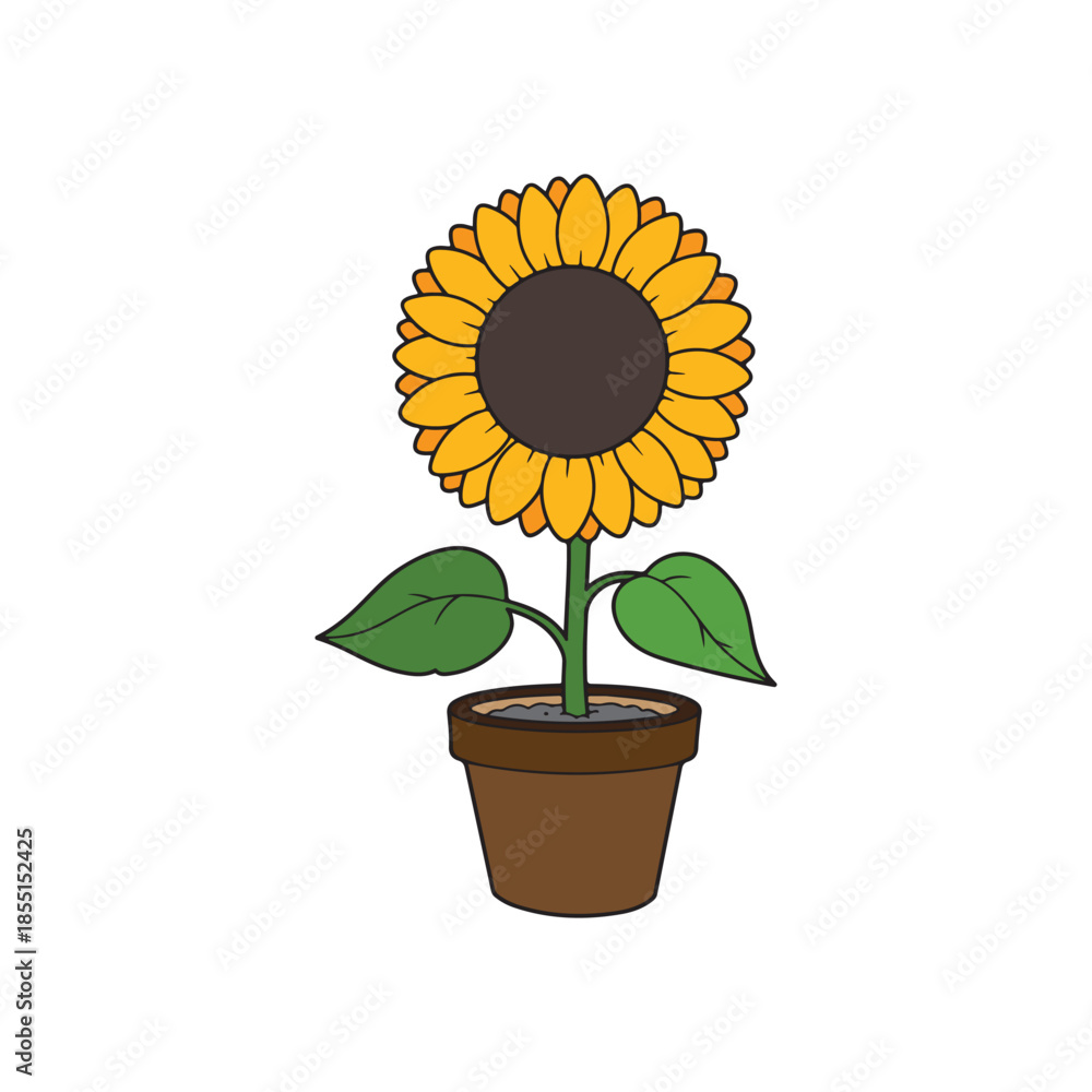 Obraz premium sunflower in a pot