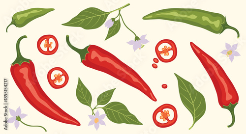 Detailed illustration of red and green chili peppers with slices and flowers on a light background for culinary design.