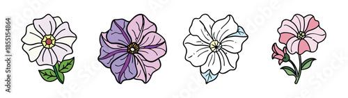 Beautiful floral illustration of assorted flower types with leaves and stems design art