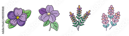 Watercolor floral botanical illustration of purple violets and lavender flower drawing design