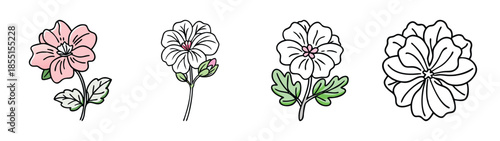Beautiful geranium flower vector art illustration drawing floral design botanical element set for prints