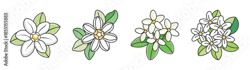 Illustration of white flowers with green leaves floral design element botanical drawing art print