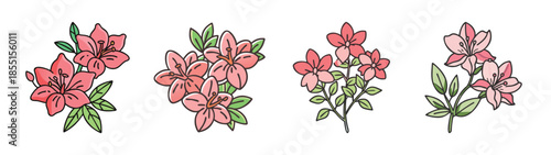 Beautiful azalea flower illustration floral design elements for graphic design and decoration use
