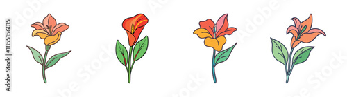 Watercolor canna lily flower illustration drawing botanical art print floral design nature art decor