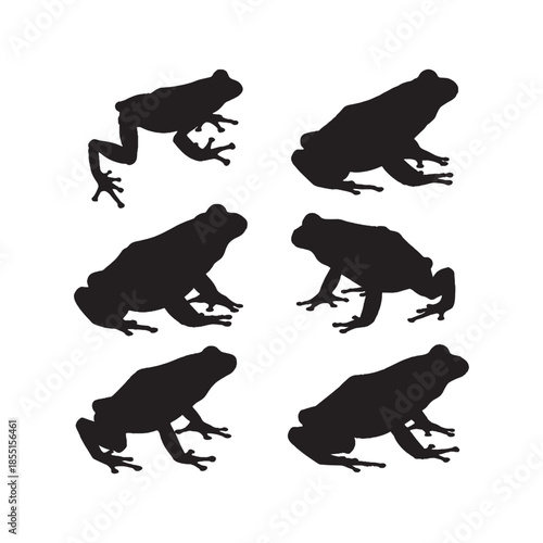 Frog Silhouettes Collection
