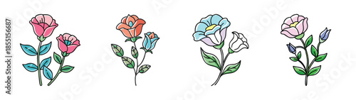 Watercolor floral illustration of flower buds and blossoms for graphic design and art prints