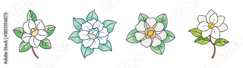 Watercolor magnolia flower illustration set, floral design elements, botanical art, spring blossoms, bloom drawing