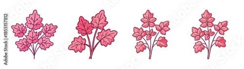 Collection of pink leaf plants vector illustration floral design elements botanical drawing decorative foliage for art