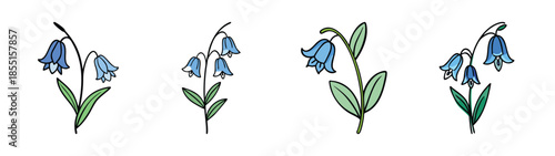 Bluebell flower illustration vector drawing, botanical art, floral design, spring wildflower, nature art