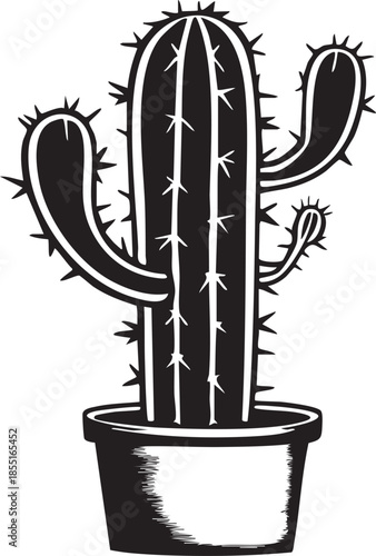Cactus dans un pot