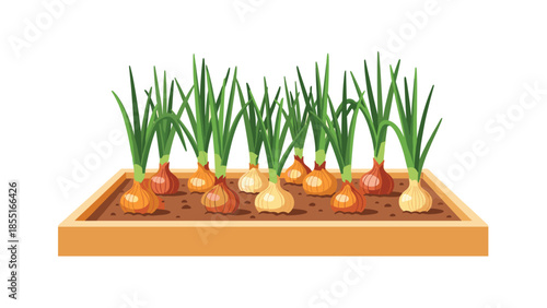 Various onions and vibrant green spring onions thriving in a neatly organized wooden raised garden bed filled with rich soil.