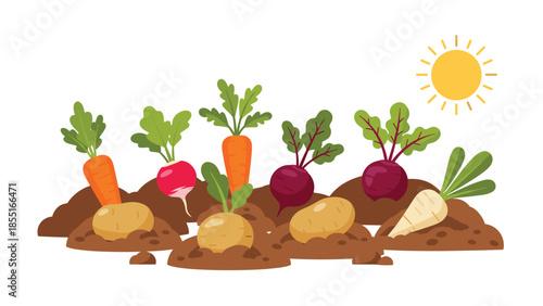 Assorted vibrant root vegetables including carrots, radishes, beets, and potatoes growing in fertile soil under a bright sun.