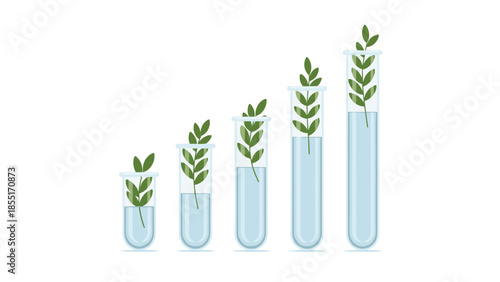Progressive growth of green plants in a series of five test tubes with water, symbolizing scientific research and development.