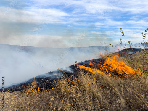 Fotografía Fire ignites landscape, Ashcoated terrain beneath billowing smoke clouds, Burnt