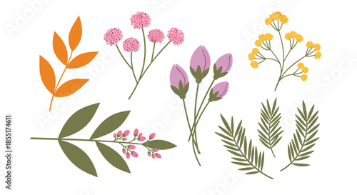 Set of delicate flower sprigs and leaves in various colors including pink, yellow, orange, and green in a collection.