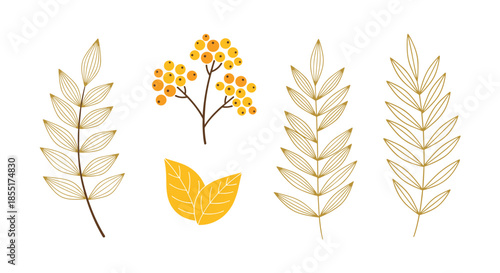 Golden yellow illustrations of various autumn leaves and berries are presented in a delicate line art style for design.