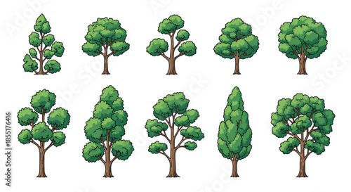 Comprehensive collection of ten diverse green trees in various shapes and sizes, suitable for landscape and nature designs.