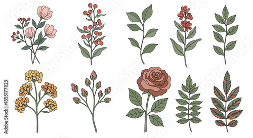 Set of various hand-drawn flowers and leaf branches including roses and berries in muted green and pink tones for design.