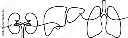 a-minimalist-black-and-white-line-drawin_itpc14QLRx2QRDvhhNSxVA_2cCD5fi4Rl-cej59JLWUUg_traced