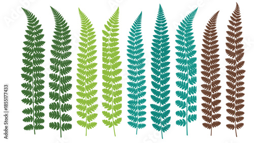 Collection of fern leaf silhouettes in various shades of green, blue-green, and brown, isolated on a white background vector.