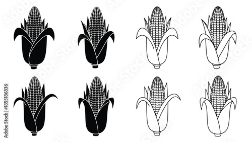 Illustration of corn cobs in varying shades and perspectives a botanical study
