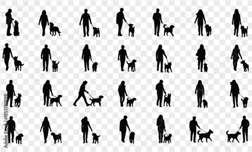 Silhouettes of People Walking Dogs
