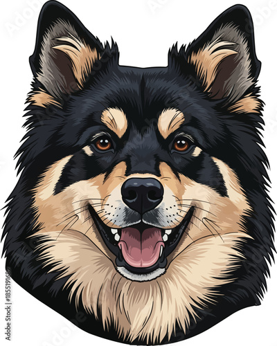 Lapponian Herder dog smiling face closeup headshot portrait