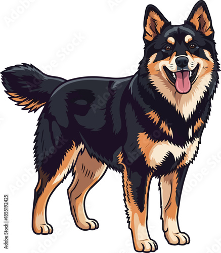 Lapponian Herder dog standing happy panting cute smiling pose