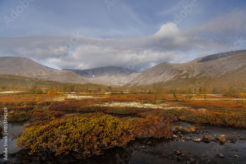 Autumn Mist Over Mountain Valley With Foggy Trees And Calm Stream