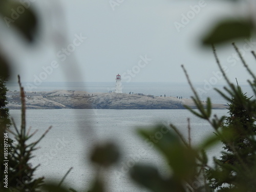 Peggy's cove captured through trees.