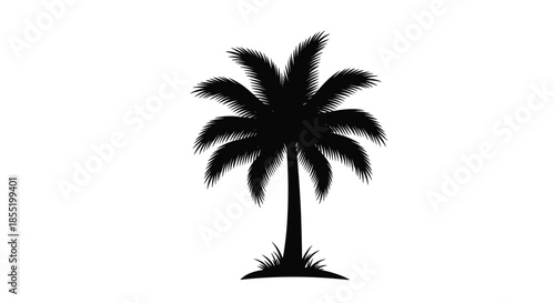 Clean black silhouette of a tall tropical palm tree with lush fronds and a small patch of grass at its base.