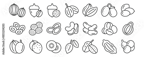 Variety of fruit icons in simple line art style for design