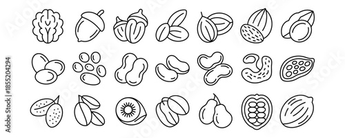 Variety of nuts and seeds illustrations for healthy snacking and nutrition
