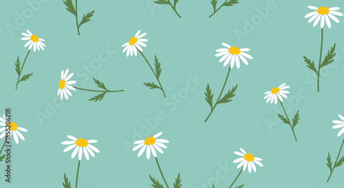 Seamless floral pattern with charming white daisy or chamomile flowers scattered across a pleasant light teal blue background design.