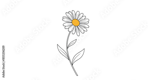 Simple and elegant hand-drawn illustration of a single blooming daisy flower with a long stem and leaves isolated on a white background.