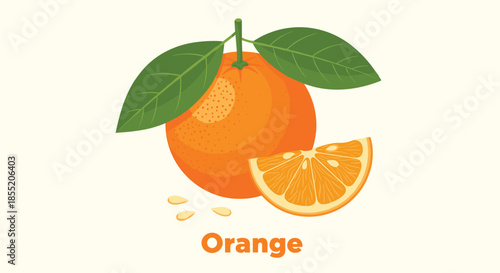 Simple and educational illustration of a whole orange fruit with leaves and a slice, with seeds and text below the image.