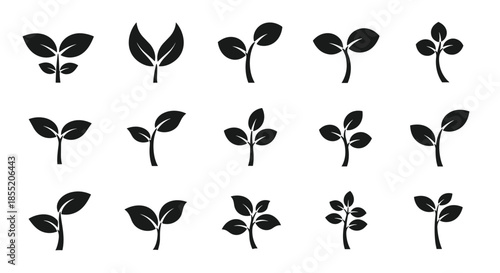 Set of black silhouette icons showing various stages of plant sprout growth with different leaf arrangements for eco concepts.