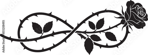 Black and white rose with thorns and leaves on a vine flower