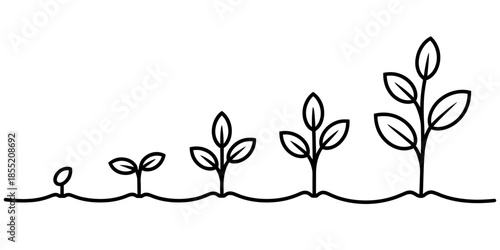 A simple line art illustration depicting the stages of plant growth and development Vector, illustration
