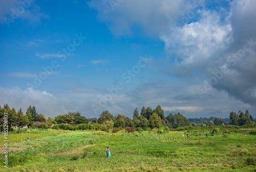 Rural life seen from the dirt road of people working and living