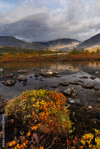 Autumn Wetland Scene With Colorful Shrubs, Calm River, and Misty Mountain Backdrop
