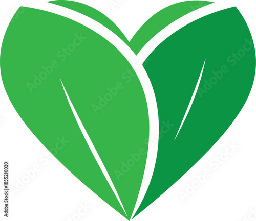 Green leaf with white veins forming a heart shape