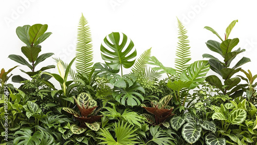 Lush green wall of various tropical plants foliage