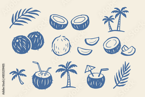 Coconut and palm doodle icons vector illustration