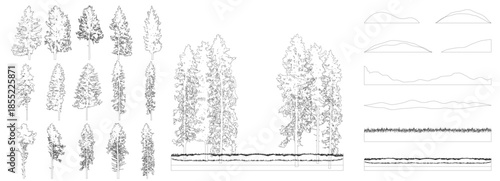Creation of realistic forest, set of contours of beautiful spruce and pines trees. Vector illustration.